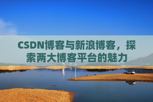 CSDN博客与新浪博客,探索两大博客平台的魅力